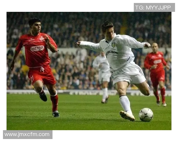 黄金左脚球星的传奇生涯与绿茵场上不可复制的艺术魅力