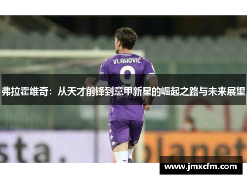 弗拉霍维奇：从天才前锋到意甲新星的崛起之路与未来展望